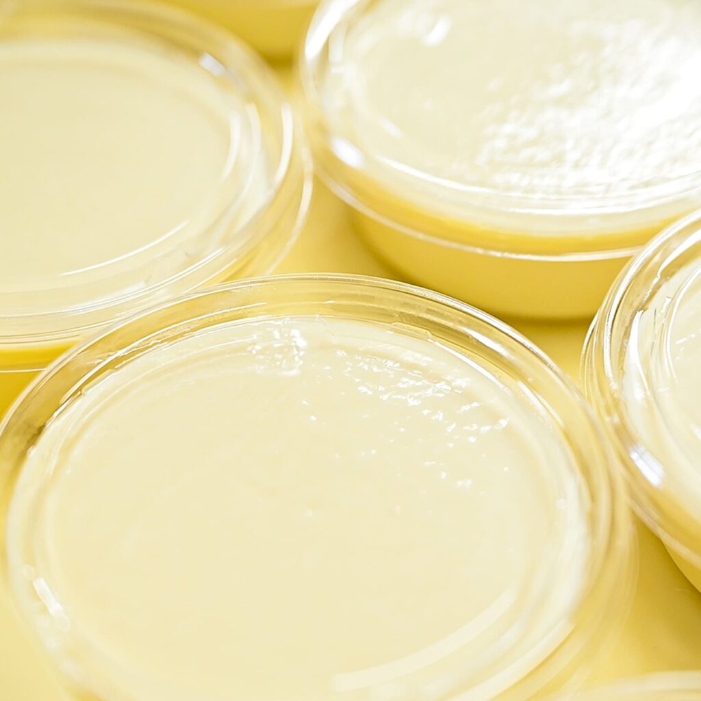 出来立てのまぁるい豆腐